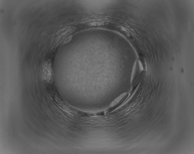 X0000070191444200605301301