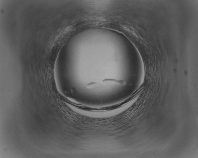 X0000070191447200605301301