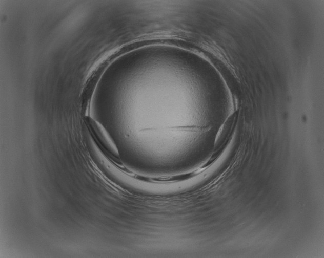 X0000070191452200605301300