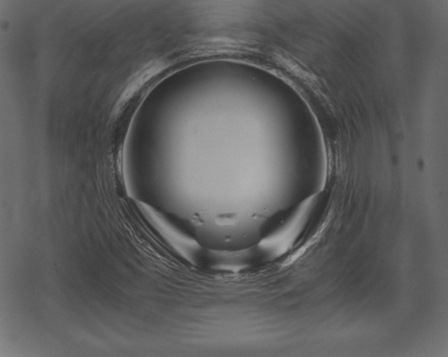 X0000070191453200605301300