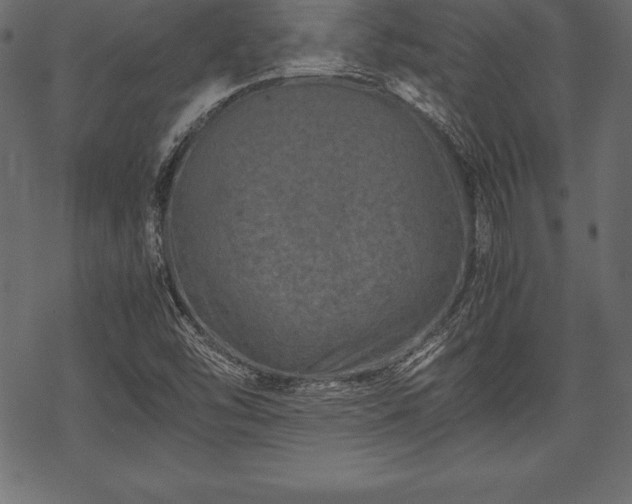 X0000070191454200605301300