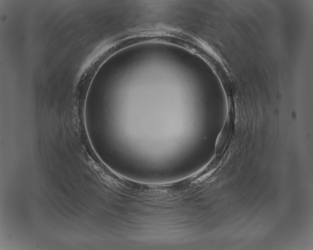 X0000070191456200605301300