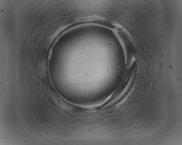 X0000070191457200605301300