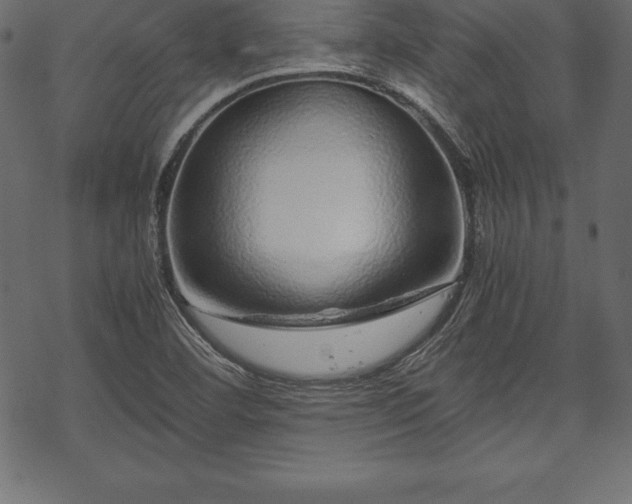 X0000070191460200605301300