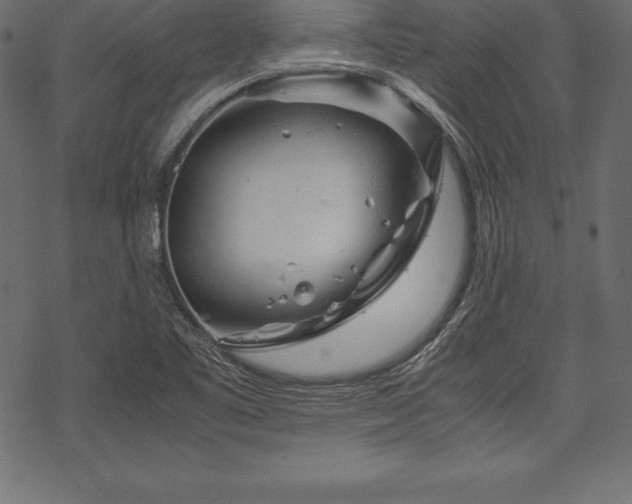 X0000070191461200605301300