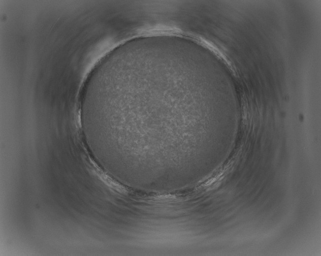 X0000070191462200605301300