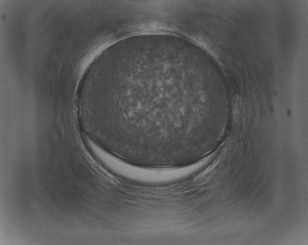 X0000070191463200605301300