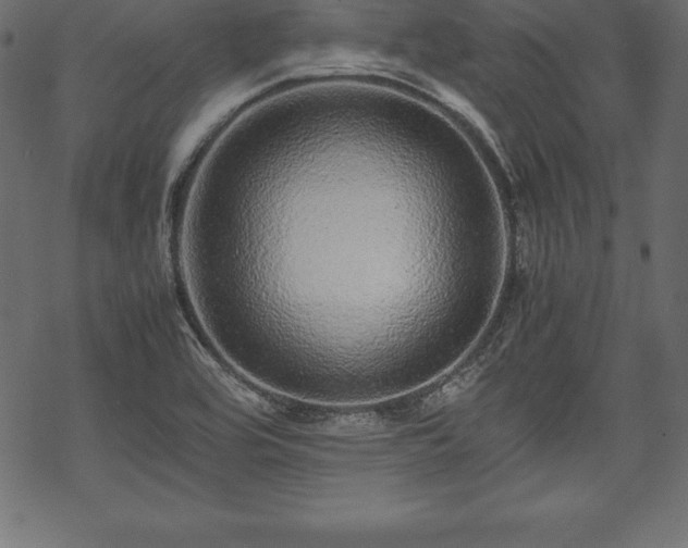 X0000070191464200605301300