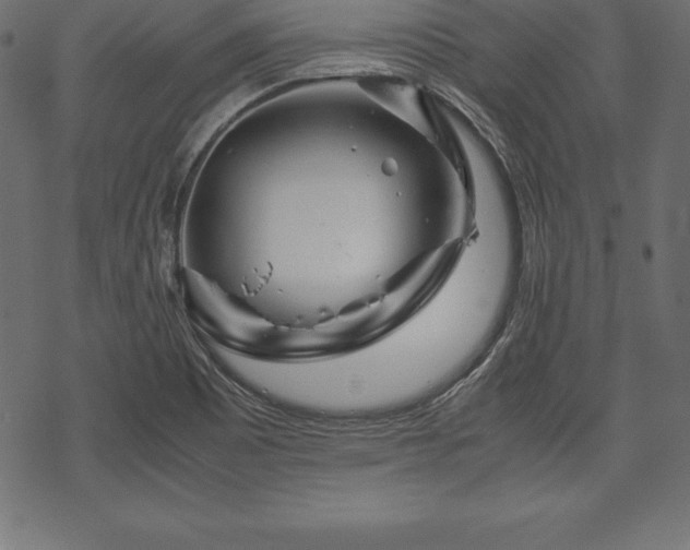 X0000070191465200605301300