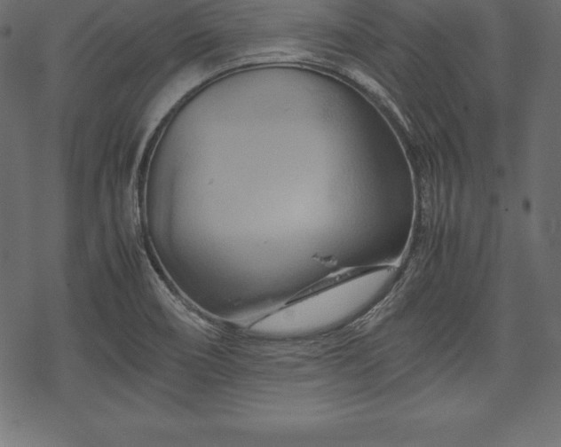 X0000070191466200605301300