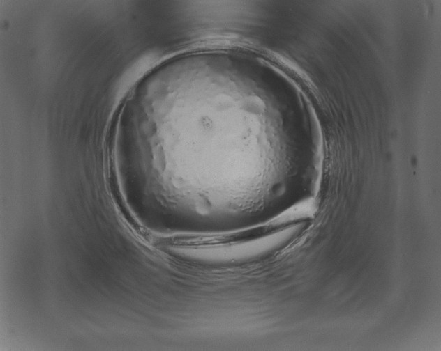 X0000070191467200605301300