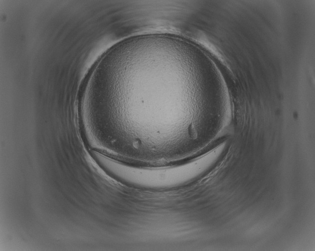 X0000070191468200605301300