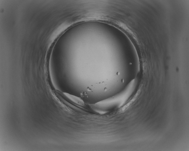 X0000070191469200605301300