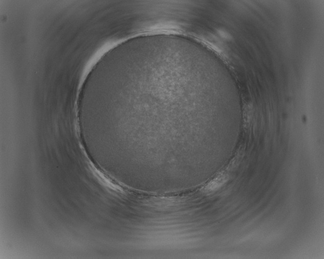 X0000070191470200605301300