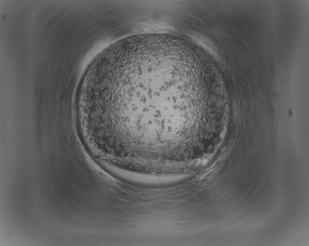 X0000070191471200605301300