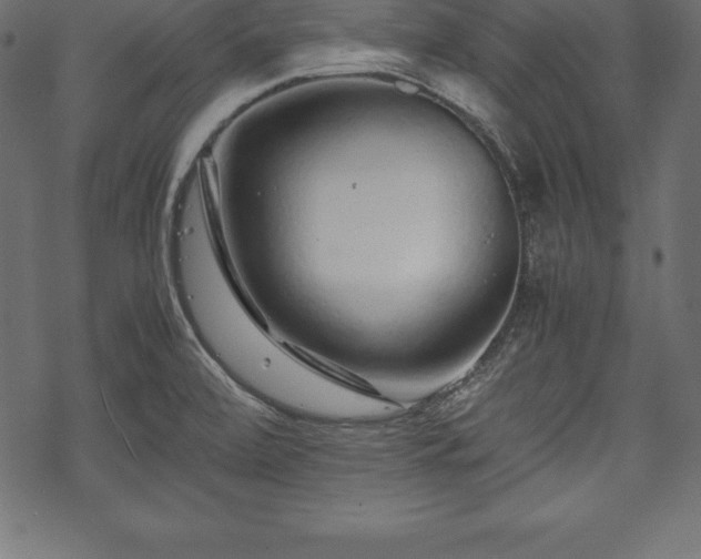 X0000070191472200605301300