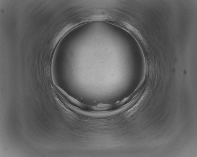 X0000070191473200605301300