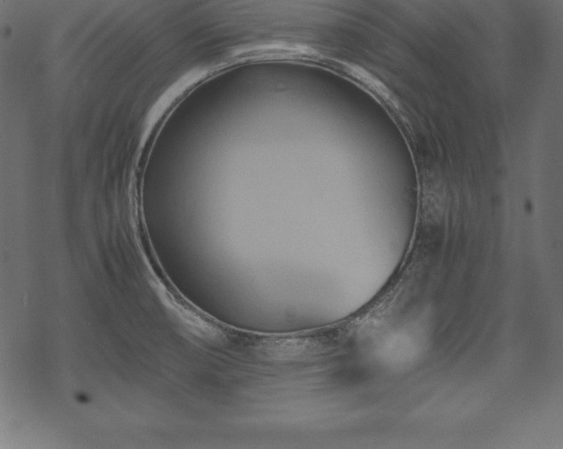 X0000070191474200605301300