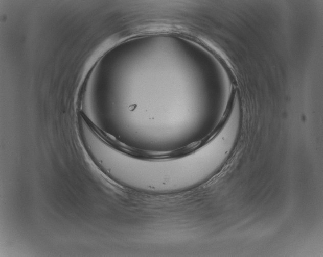 X0000070191475200605301300