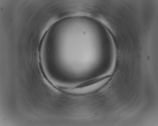 X0000070191476200605301300