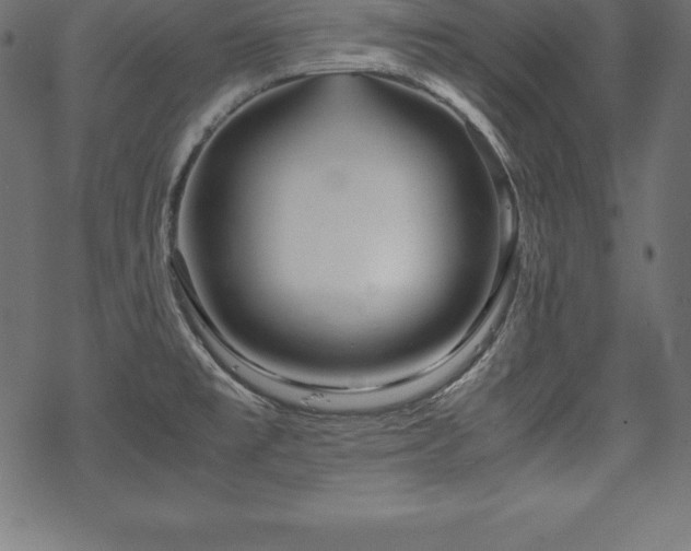 X0000070191477200605301300