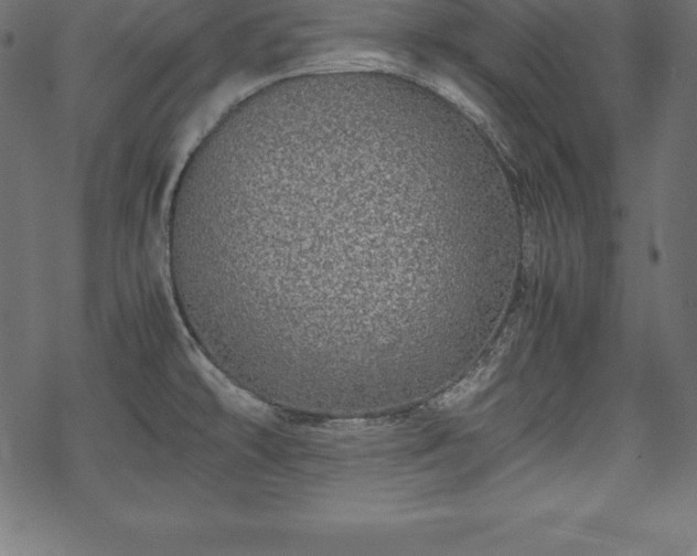 X0000070191478200605301300