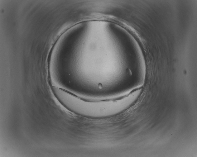 X0000070191479200605301300