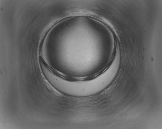 X0000070191480200605301300