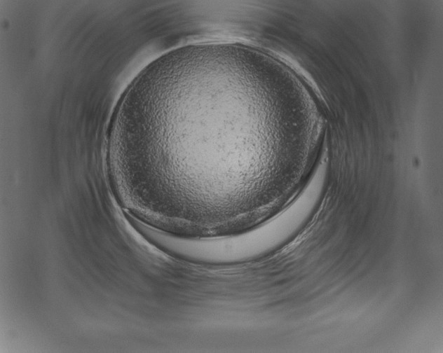 X0000070191484200605301300