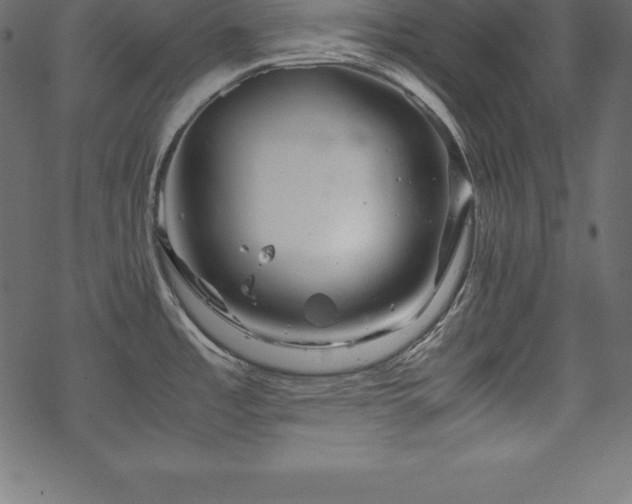 X0000070191485200605301300