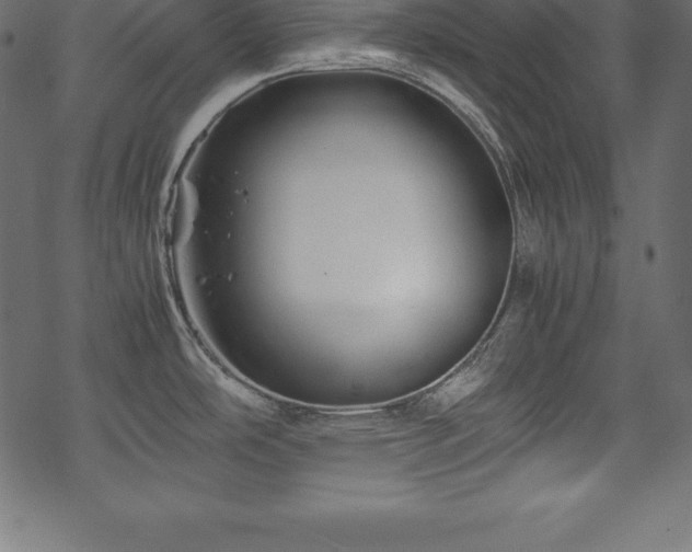 X0000070191486200605301300