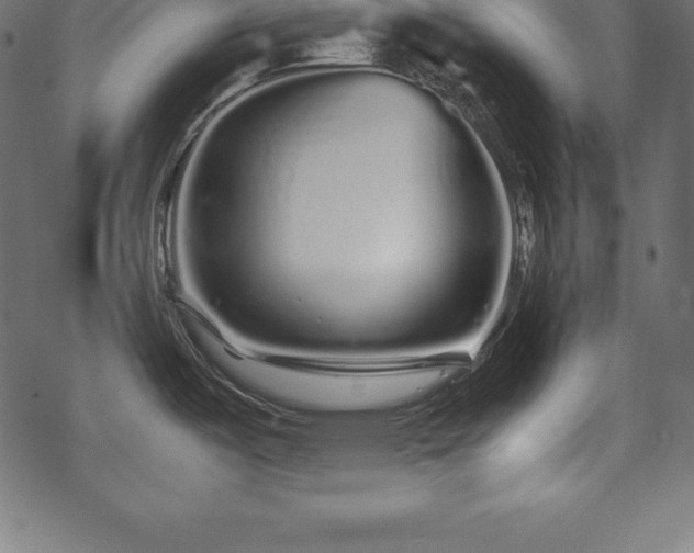 X0000070191487200605301300