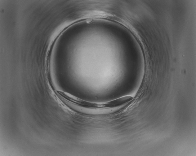 X0000070191488200605301300