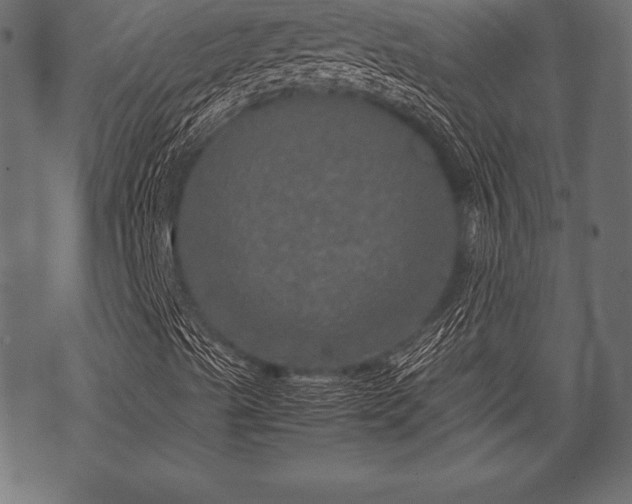 X0000070191489200605301259