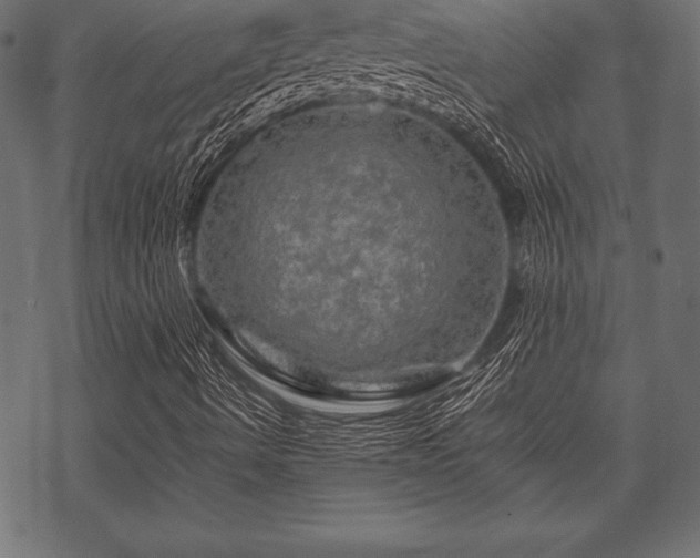 X0000070191490200605301259