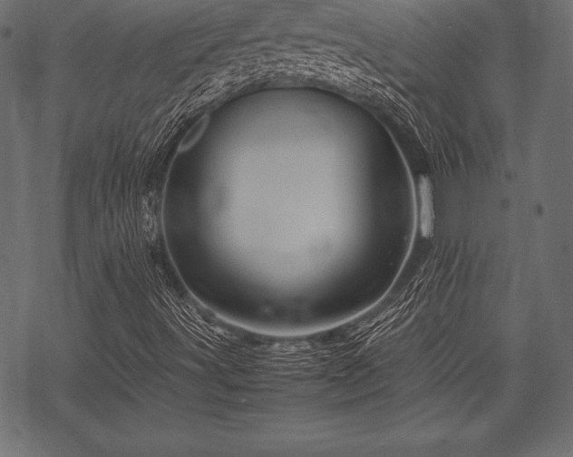 X0000070191491200605301259