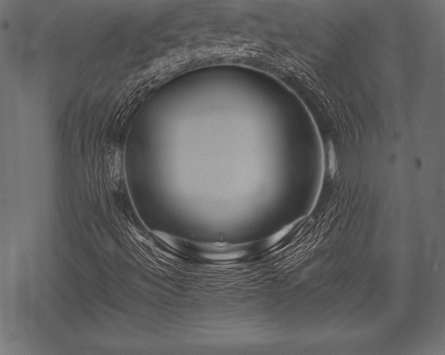 X0000070191492200605301259