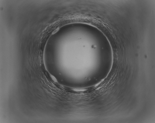 X0000070191493200605301259