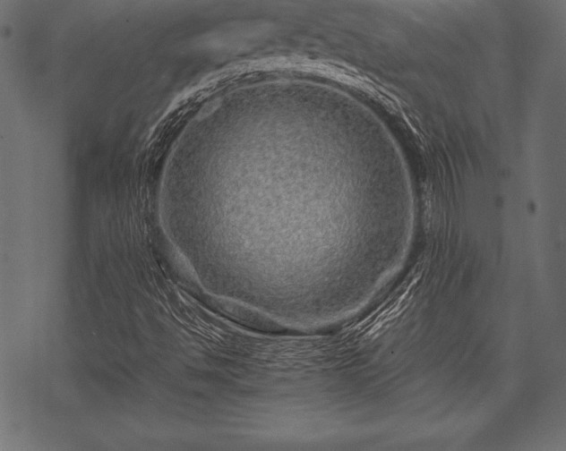 X0000070191494200605301259