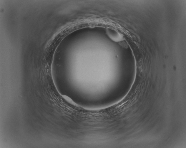 X0000070191495200605301259