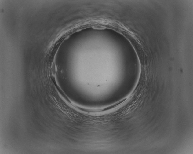 X0000070191496200605301259