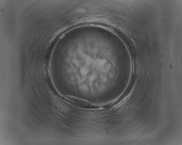 X0000070191497200605301259