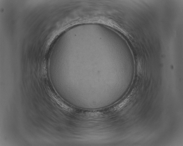 X0000070191498200605301259