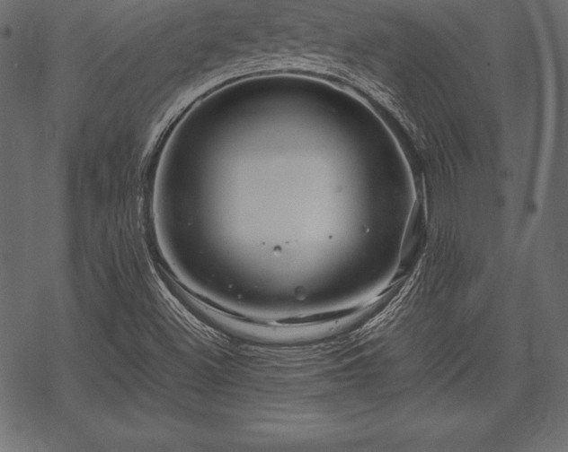 X0000070191500200605301259