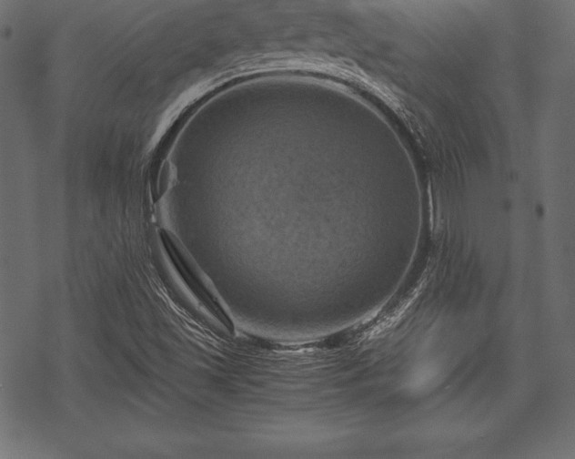 X0000070191501200605301259