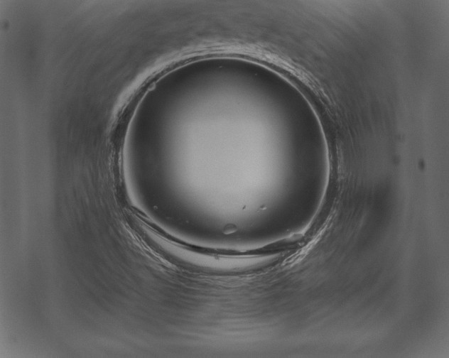 X0000070191502200605301259