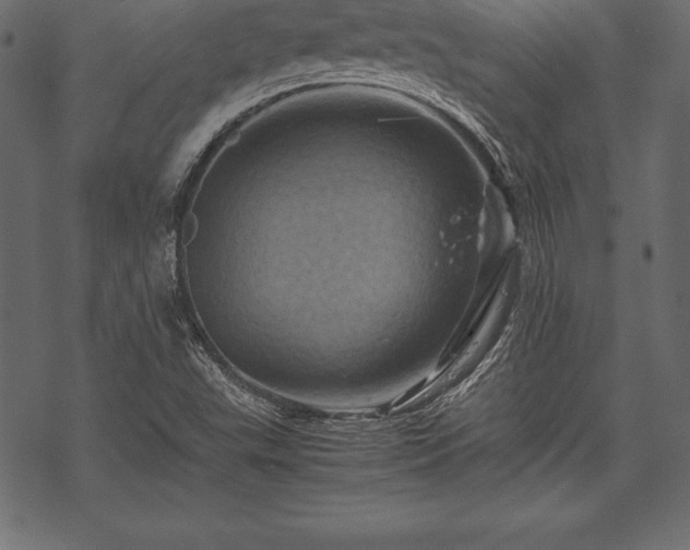 X0000070191503200605301259