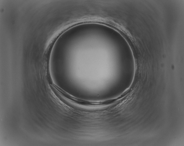 X0000070191504200605301259