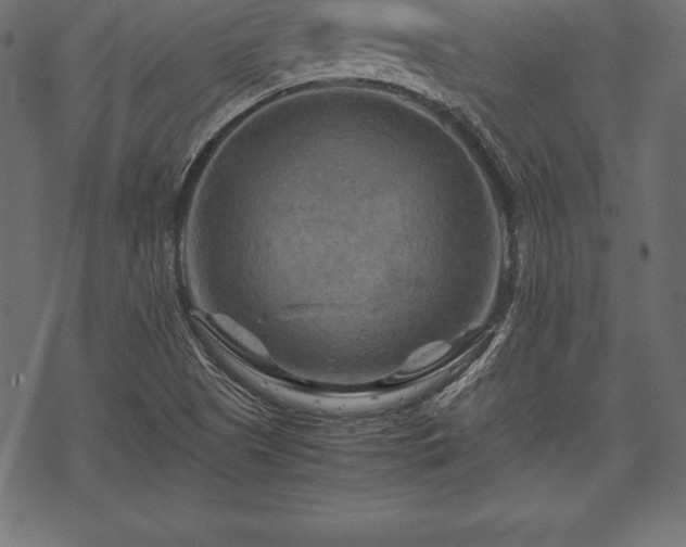 X0000070191505200605301259