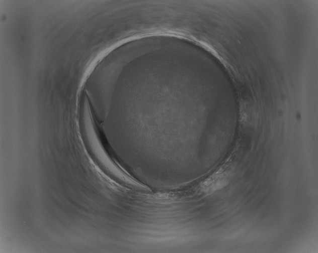 X0000070191508200605301259